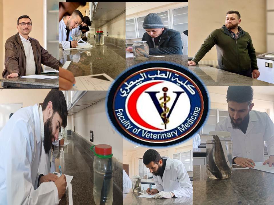 Практическое тестирование по курсу «Рыбоводство и болезни» для студентов четвертого курса